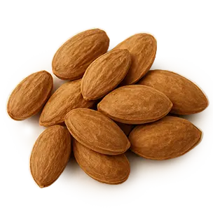 Illustration de nos noyaux de pruneaux