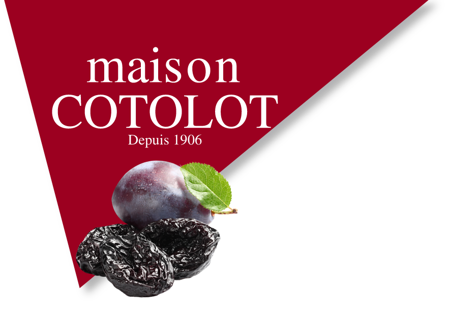 Logo de la maison Cotolot