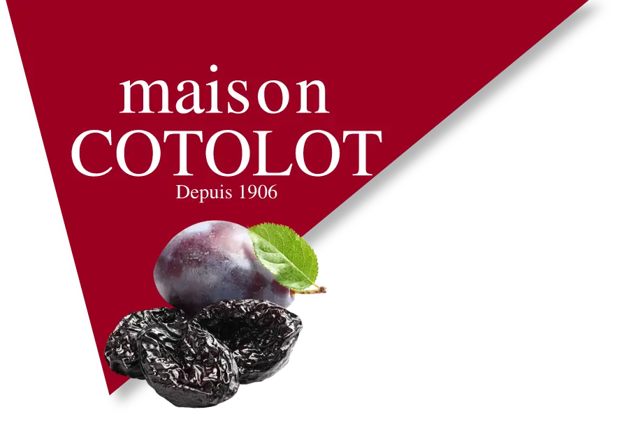 Logo de la maison Cotolot