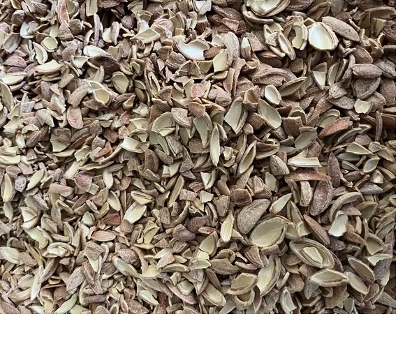 Image de nos pruneaux